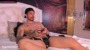 tigerstripees  05-11-2021 Recorded Video XXX